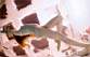 HowardSchatz Waterdance Rin@ewind hs-wd013.jpg