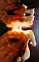 HowardSchatz Waterdance Rin@ewind hs-wd104.jpg