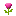 (RoseMasay.gif (359 octets)