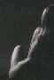 AlgimantasBarzdzius_taide.lt_ai-si_akt30s.gif (3700 octets)