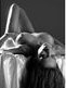 Galerie des photographes et des modles