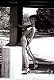 Lindner-foto.de(fromVahle.net)_tn_sandra263_jpg.jpg (2655 octets)