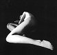 SandrineHERMAND-GRISE03.jpg (1978 octets)