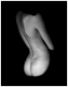 SandrineHERMAND-GRISEL_phot16.gif (2923 octets)