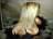 Sylvie_perso.respublica.fr_zextan_TN_sdbblack06.jpg (1090 octets)