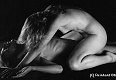 24 Photographes couples