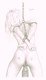 cato.fra.st_p98318t.jpg (1338 octets)