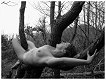 jcperie.free.fr_gal259.jpg (4737 octets)