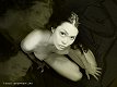 users.qwest.net_~caudio_LM8_eye.jpg (2978 octets)