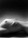 Oldsen.de0201_jagr_03_s.jpg (1385 octets)