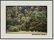 Photographies en Valle d'Ossau : Nuances de Verts
