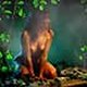 karin.oldsen.de_nature_001_t.jpg (2757 octets)