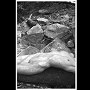 outdoor13.jpg (35821 octets)