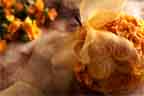 AnneJolly.free.fr_Bouquets(lueurscaptives.free.fr)
