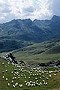 Bertrand.ClementPhotosPyreneesVignetteFrontiereFranceEspa.jpg (3607 octets)