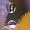 SophieThouvenin_prismes.free.fr_heaventears.jpg (5188 octets)